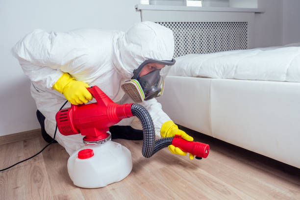 Best Bed Bug Extermination  in Green Island, NY